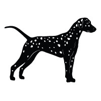 Dalmatian