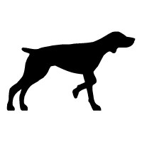 German Shorthaired Pointer