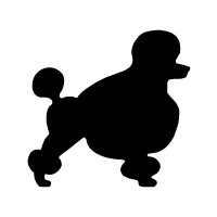 Poodle