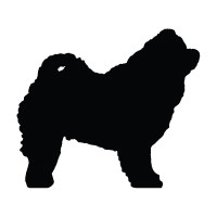 Chow Chow