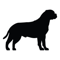 Bullmastiff