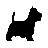 West Highland White Terrier