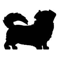 Tibetan Spaniel
