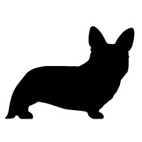 Welsh Corgi (Cardigan)