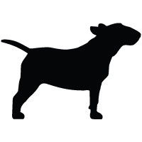 Bull Terrier