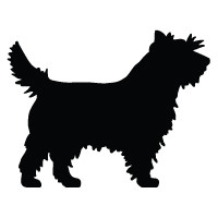 Cairn Terrier