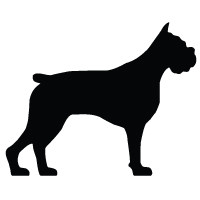 Boxer