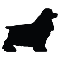 Cocker Spaniel