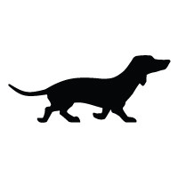 Dachshund