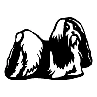 Shih Tzu