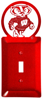 WISCONSIN BADGERS Collegiate Metal Plate Cover WISCONSIN BADGERS Collegiate Metal Plate Cover