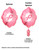 BREAST CANCER FIND A CURE Cloud Metal Wind Spinner