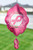 BREAST CANCER FIND A CURE Cloud Metal Wind Spinner