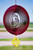DULUTH BULLDOGS Collegiate Swirly Metal Wind Spinner