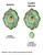 LADYBUG Cloud Swirly Metal Wind Spinner