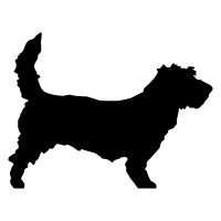 PBGV Logo