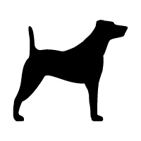 Jack Russell Terrier Logo