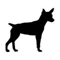 Rat Terrier Logo