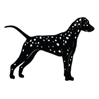 Dalmatian Logo