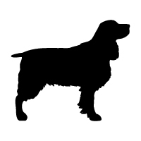 Springer Spaniel Logo