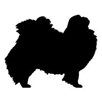 Japanese Chin Logo