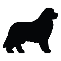 Newfoundland Logo