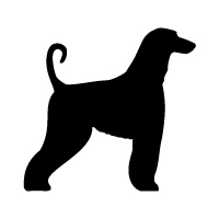 Afghan Hound Logo