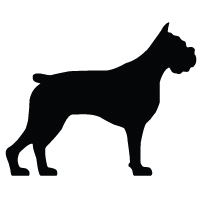 Boxer Logo