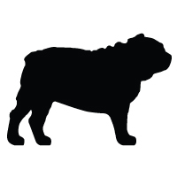 Bulldog Logo