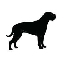 Cane Corso Logo