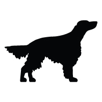 Irish Setter Logo