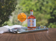 So you think you know an Italian Spritz?