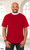 Knit Clergy Shirt for Men (Neckband)