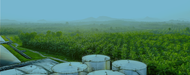 Ultrasonic Sensors from Senix Chosen for Palm Oil Measurements