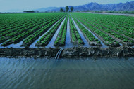 ToughSonics® Control Critical Water Flow in Farming and Agriculture