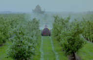 Senix Ultrasonics Reduce Chemical Usage in Agriculture