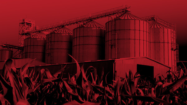 Agriculture