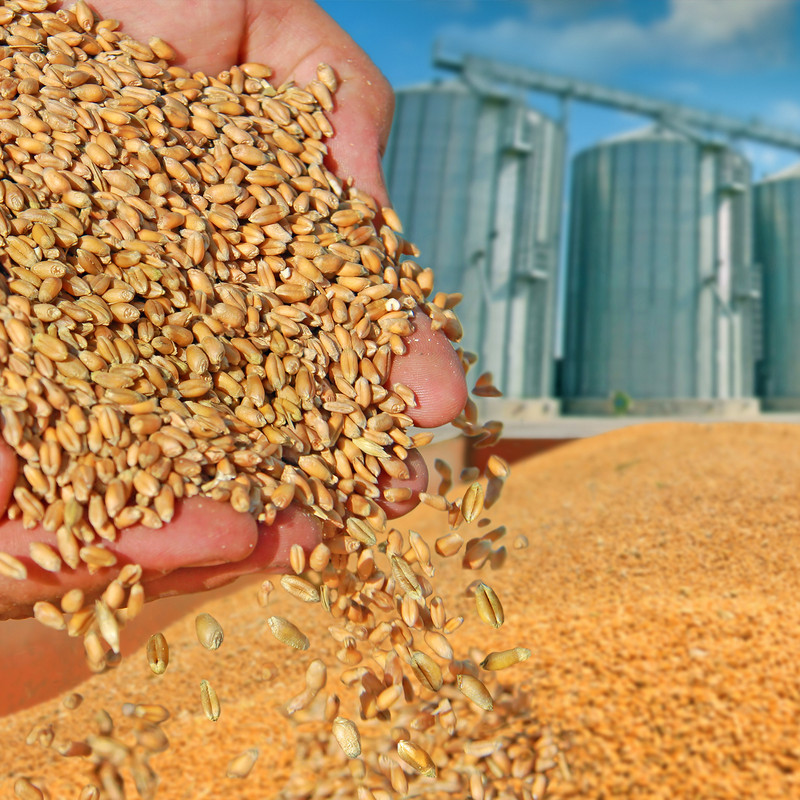 BinMaster's BM-25 economical diaphragm switch is popular in grain storage, seeds for agricultural planting, and animal feed applications