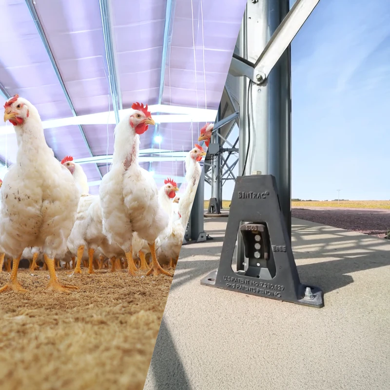 BinTrac load cells ensure precise bin weight measurements; optional batching controls perform highly accurate load/unload batch control