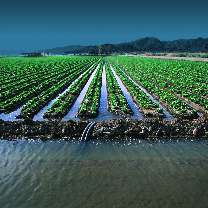 Senix sensors assist in agriculture and farming applications, including optimizing irrigation water use and chemical sprayer accuracy