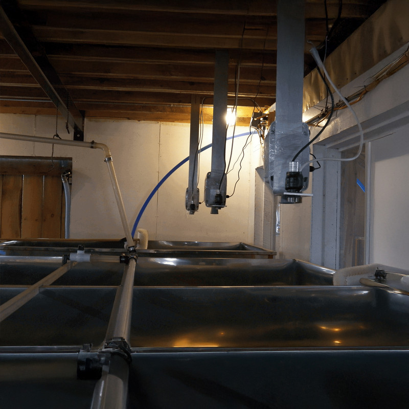 ToughSonic general-purpose sensors mounted over a tank for automated inventory level measurements