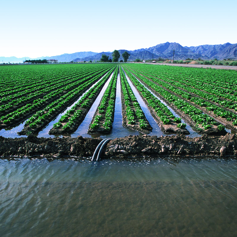 Senix ultrasonic sensors and radars measure water levels for irrigation and monitor rising levels in free-flowing water channels