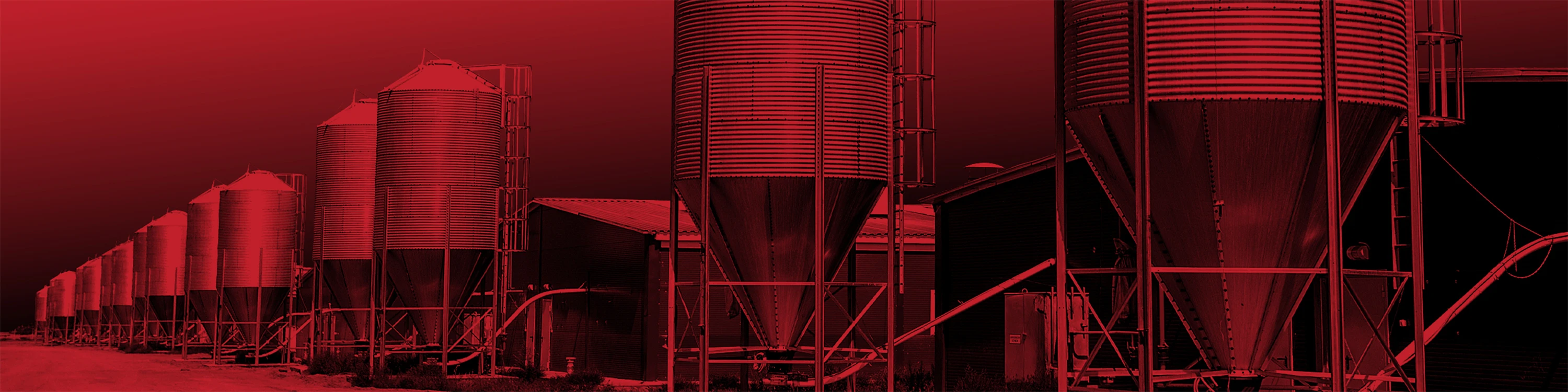 Animal Feed