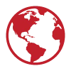 Global market icon
