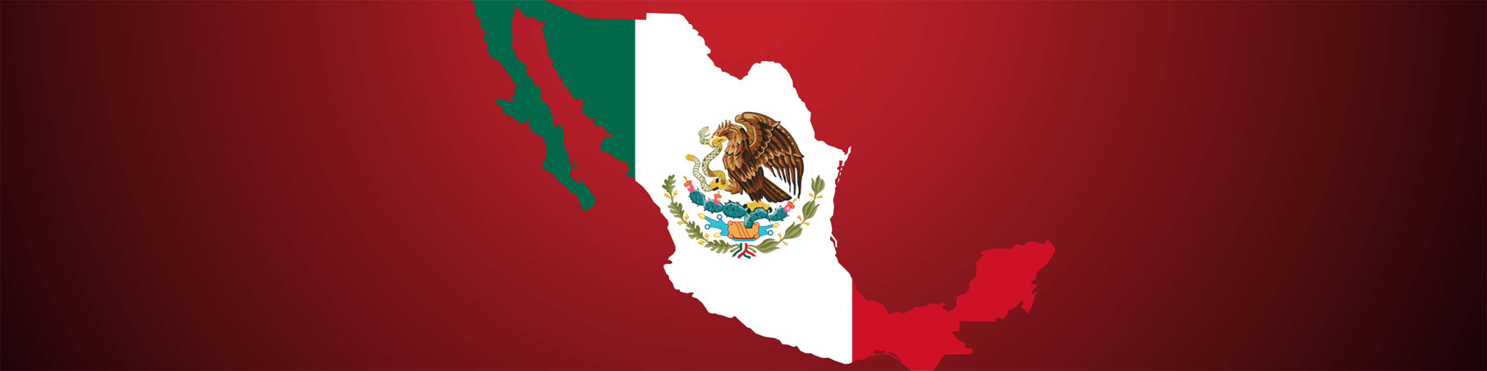 Industries throughout Mexico and Latin America utilize BinMaster level sensor technologies for efficient inventory management