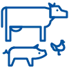 Livestock icon: swine, chicken, and cow