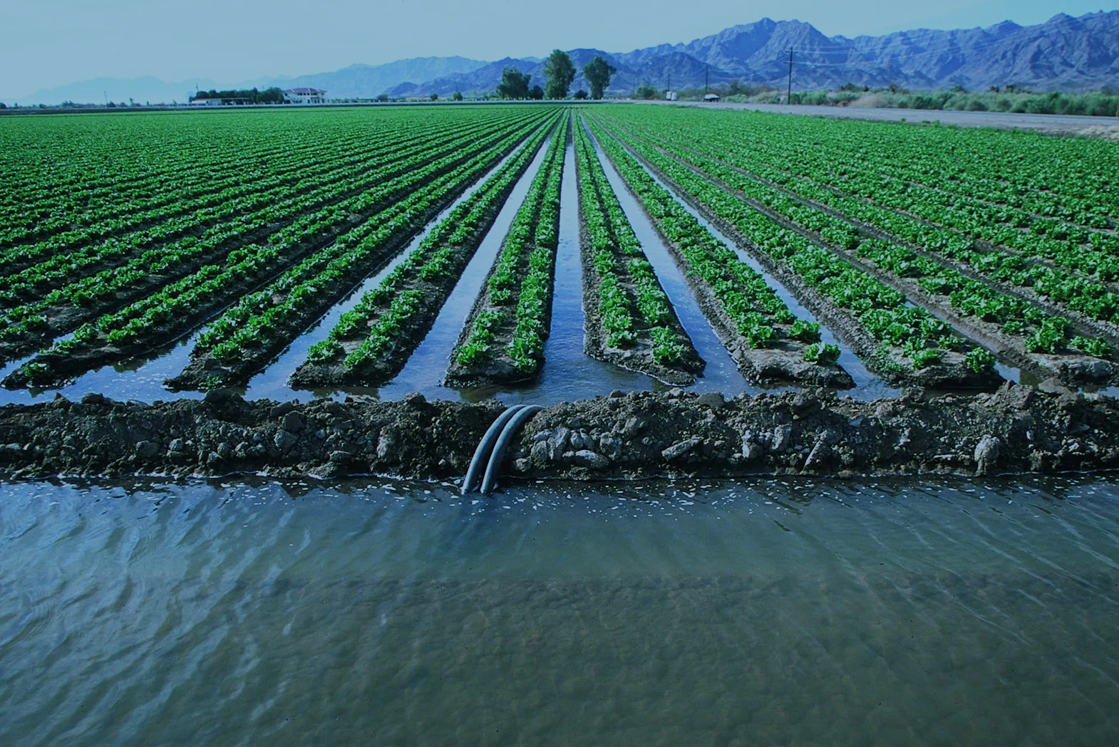 Ultrasonic Sensors Control Water Flow in Farming & Agriculture
