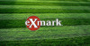 EXMARK 103-6402-S SPK, BLADE NOTCHED 18.0 (.94 HOLE) (3 LEFT IN STOCK)