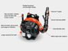 Echo PB-760 backpack blower clearing wet leaves in a yard