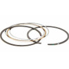 Briggs & Stratton 793319 Ring Set